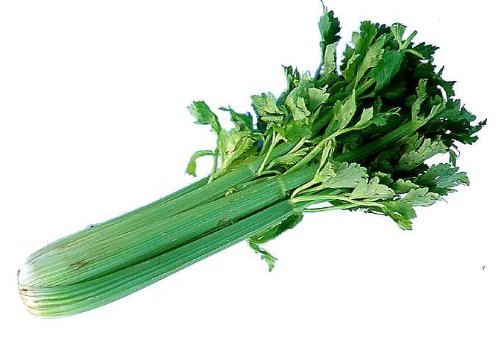 brenda-gantt-cornbread-dressing