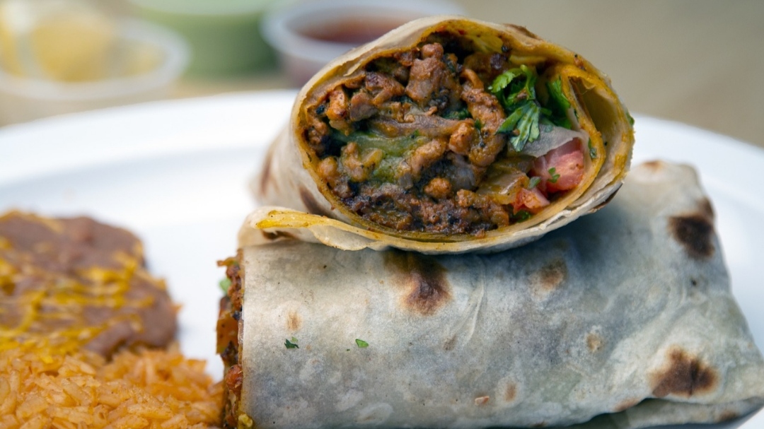 Birria burrito