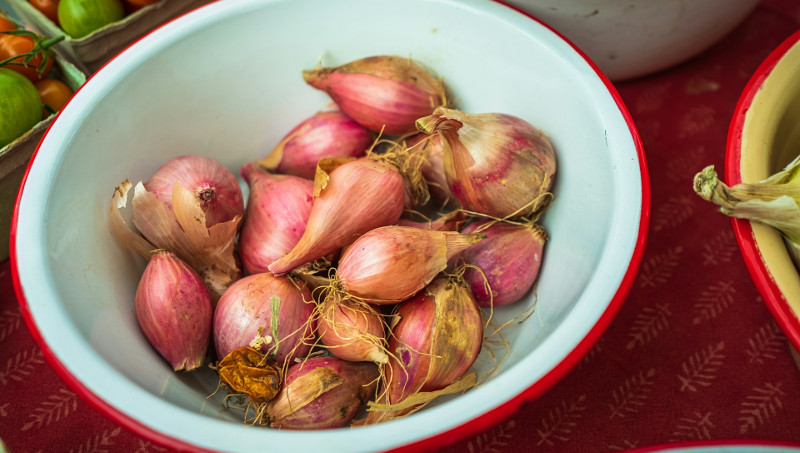 substitute for shallots