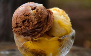 healthy-ninja-creami-recipes