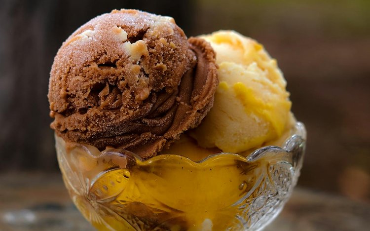 healthy-ninja-creami-recipes